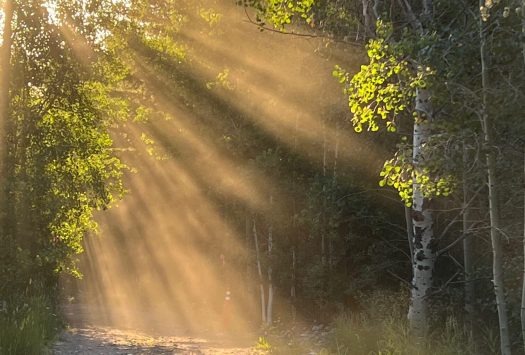 EC814767-B658-42D1-9AF5-3877F34AB926 EC814767-B658-42D1-9AF5-3877F34AB926